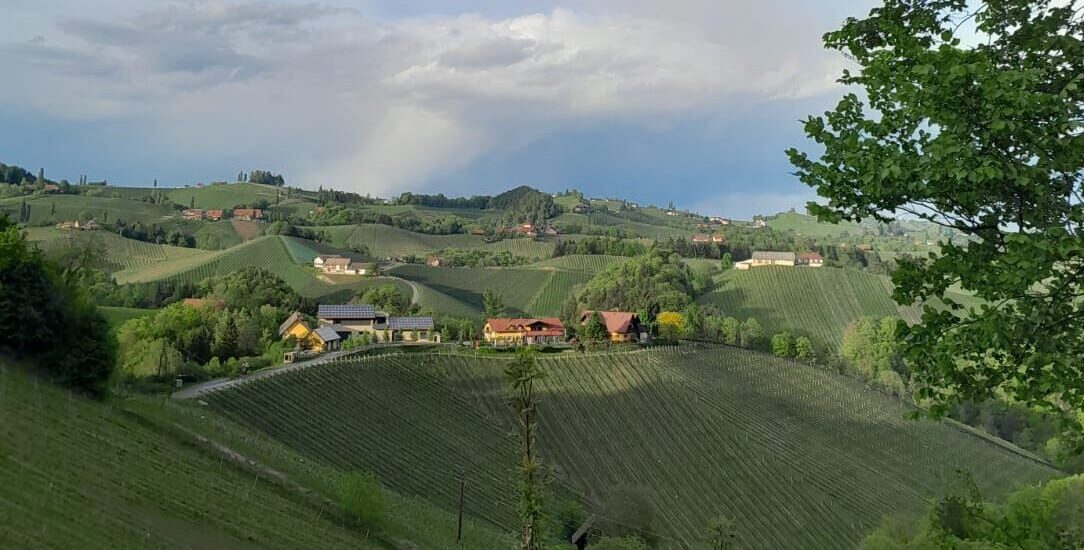 IMG-20240419-WA0002